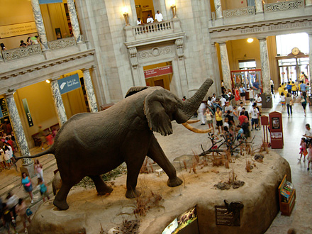 Smithsonian Museum of Natural History