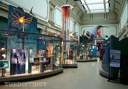 Washington DC museums